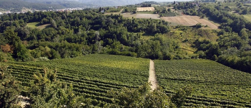 Castello di Grillano, Ovada — photo 1