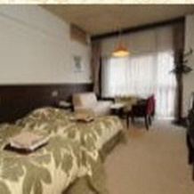 Hashimoto Hotel, 涩川 — 照片 2