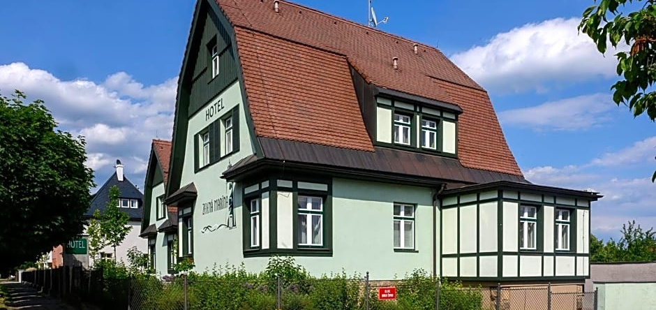 Hotel Zelená Marina, Врхлаби — фото 1