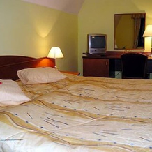 Wellness Hotel Anna Nejdek, Нейдек — фото 2