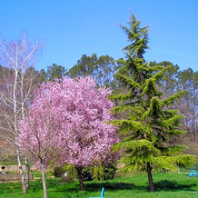 Domaine De La Provenç'âne Le Pigeonnier, 萨莱讷 — 照片 4