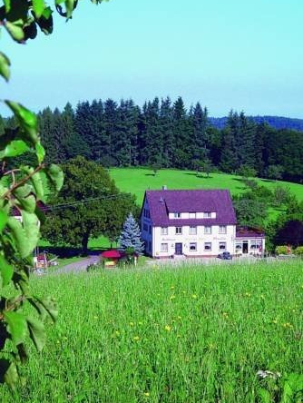 Gasthaus Pension Hintere Höfe, Freiamt — photo 1
