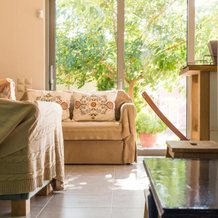 Comfy Kourouta Apartment & Suite, 阿马利亚斯 — 照片 2