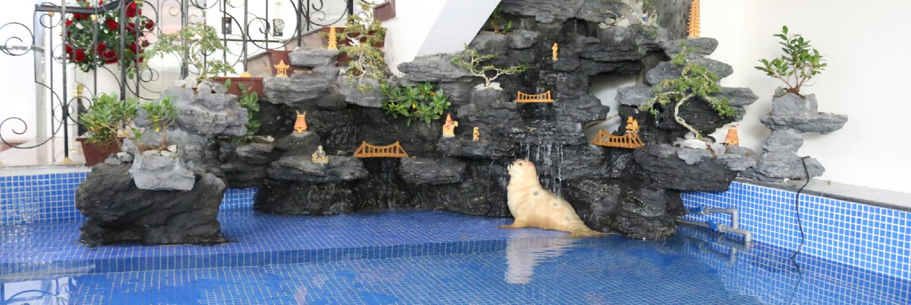 Sao Mai Hotel, 高兰 — 照片 1