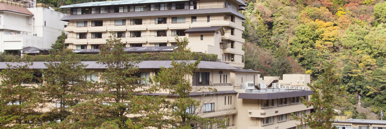 Hotel Okada, 箱根 — 照片 1