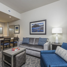 Embassy Suites by Hilton The Woodlands at Hughes Landing, 伍德兰兹 — 照片 3