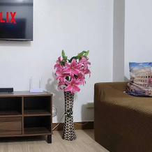 Colin's Suite at Hope Residences, Trece Martires — photo 3