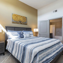 Luxurious King Bed Living Midtown Fully Equipped Condo, Хьюстон — фото 2