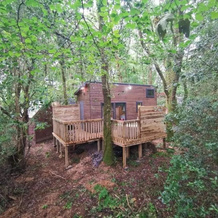 Tiny House-Hot Tub-St Clears-Pembrokeshire-Tenby, 梅德里姆 — 照片 4