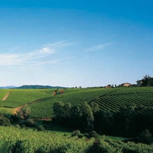 Agriturismo Tenuta la Marchesa, Novi Ligure — photo 4