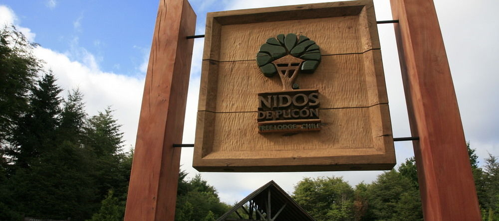 Tree Lodge Nidos de Pucon, Pucon — photo 1