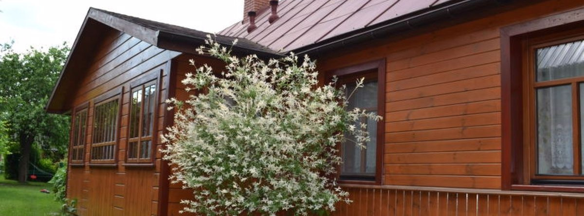 House Stoczek Bialowieza, 比亚沃维耶扎 — 照片 1
