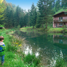 Apartment in Alsace With Nature Retreat, Dabo — photo 5