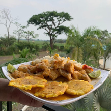 Mesopotamia Finca Hotel, 雷斯特雷波 — 照片 2