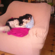 House With 3 Bedrooms in Marennes, With Enclosed Garden and Wifi - 200, 马雷讷-耶尔-布鲁阿日 — 照片 2