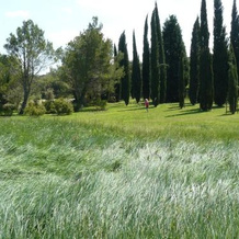La Ferme St Michel, 索莱米约 — 照片 5
