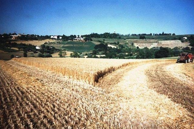 Agriturismo Il Mio Casale, 萨索科尔瓦罗 — 照片 1