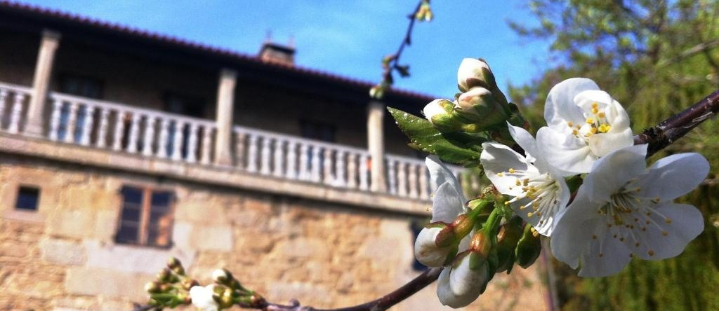 Casa Grande de Fuentemayor, 西列达 — 照片 1