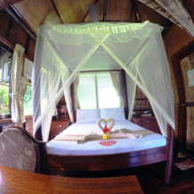 Secret Paradise Resort & Turtle Sanctuary, 罗哈斯 — 照片 3