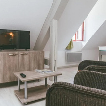 Terres de France - Appart'Hotel le Splendid, Allevard — photo 3