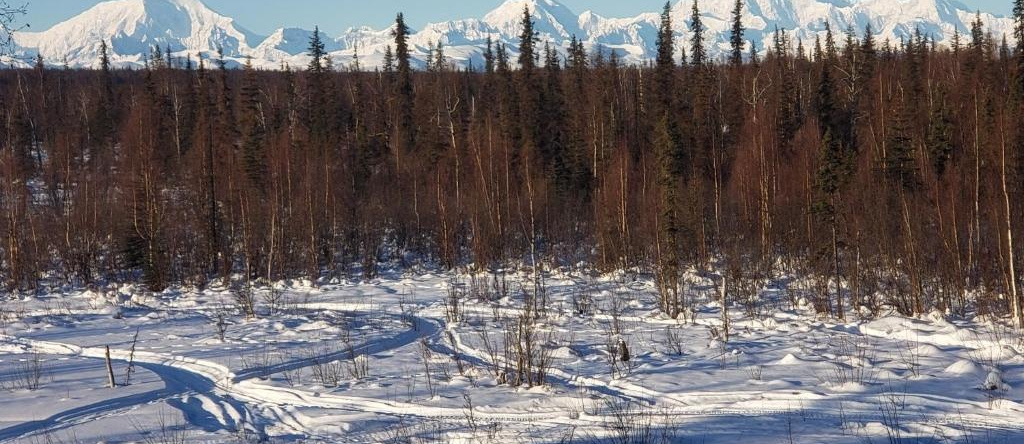 Gwin's Lodge, Купер Лендинг — фото 1