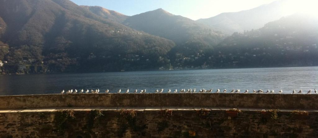 Bellavita Fossati, Carate Urio — photo 1