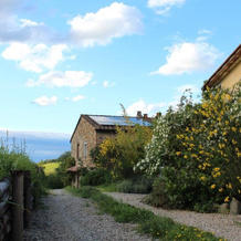 Il Cielo Bio - Il più piccolo B&B del Chianti, 格雷韦因基安蒂 — 照片 5