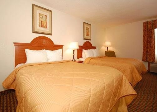 Comfort Inn, 布鲁斯普林斯 — 照片 1