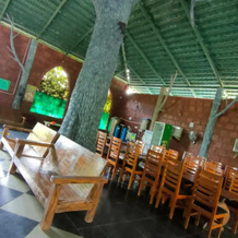 Dandeli Jungle Villa, Badgund — photo 5
