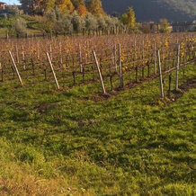 ACERO ROSSO B&B in Franciacorta, 埃尔布斯科 — 照片 5