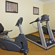 Holiday Inn Express Ringgold by IHG, Ringgold — photo 3
