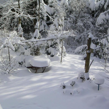 Ferienwohnung im Harz Haus Bruns, Clausthal-Zellerfeld — photo 5
