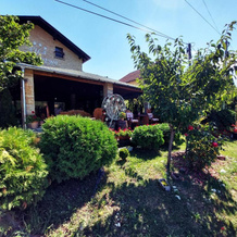 Vila Prezident, Sremski Karlovci — photo 4