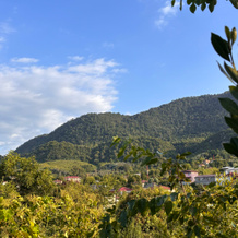 Private House Agava, New Athos — photo 5