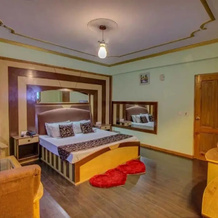 Prini Inn, Манали — фото 2