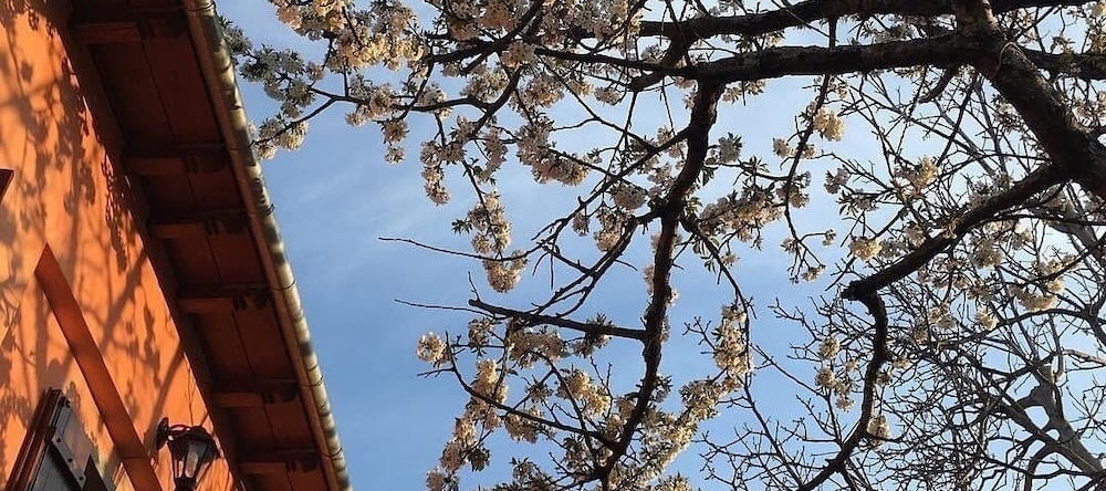 Kalderimi Country House, 穆雷西 — 照片 1