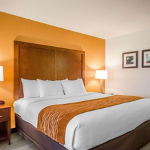 Comfort Inn Ferdinand, 费迪南德 — 照片 4