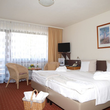 Ferienhotel Schwarzwälder Hof, Feldberg — photo 4
