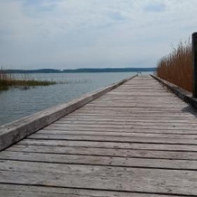 Fischstuebchen Neeberg, 克鲁明 — 照片 5