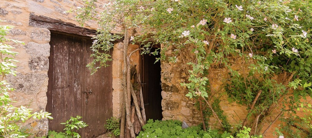 Charming Estate Dordogne With Pool, Les Eyzies-de-Tayac-Sireuil — photo 1
