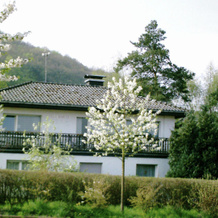 Spacious Apartment In Diemelsee-Heringhausen Near Watersports, Штормбрух — фото 3