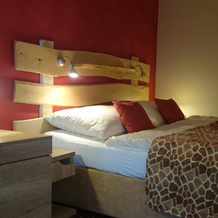 Hotel Safari, 拉贝河畔皇宫镇 — 照片 4