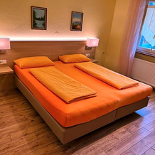Hotel-Heilsberg, Готтмадинген — фото 5