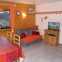 Chalet Ban-sur-Meurthe-Clefcy, 3 pièces, 4 personnes - FR-1-589-150, 默尔特河畔邦-克莱夫西 — 照片 4