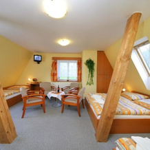 Hotel Stary Mlyn, Rokytnice nad Jizerou — photo 4