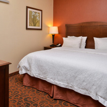Hampton Inn Idaho Falls/Airport, 爱达荷福尔斯 — 照片 5