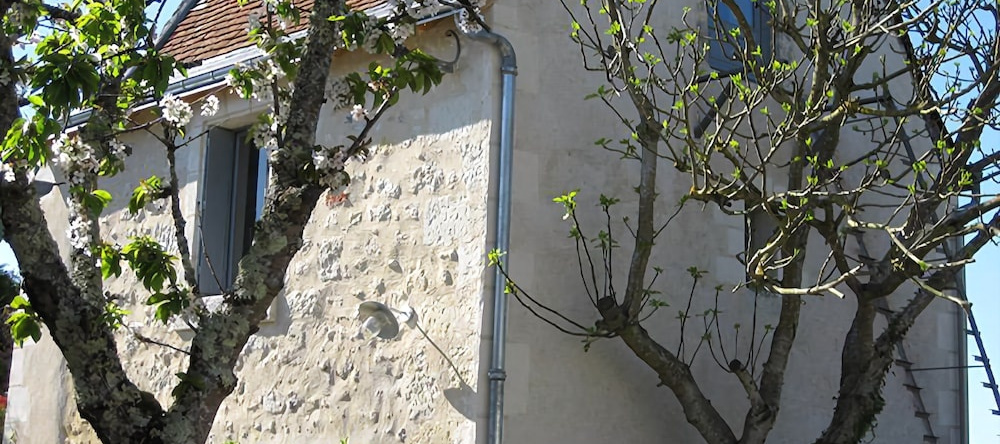 Le Gîte des Bateliers, 拉沙佩勒欧诺 — 照片 1