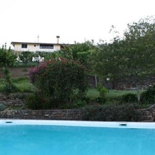 Agriturismo La Mimosa, 佩尔迪富莫 — 照片 4