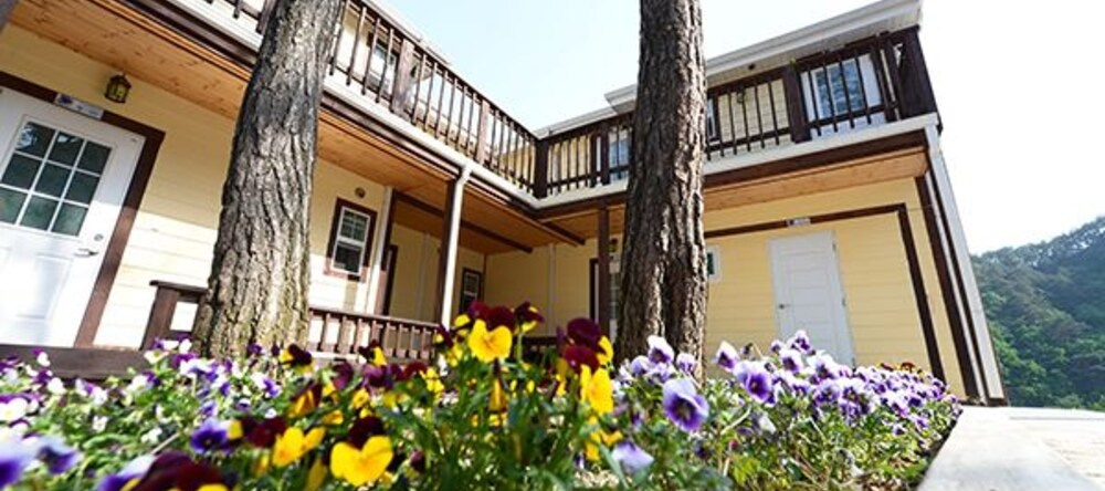Jeongseon Sky Pension, Чонсон — фото 1