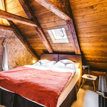 Aparthotel & Wellness Knížecí cesta, 上普拉纳 — 照片 2